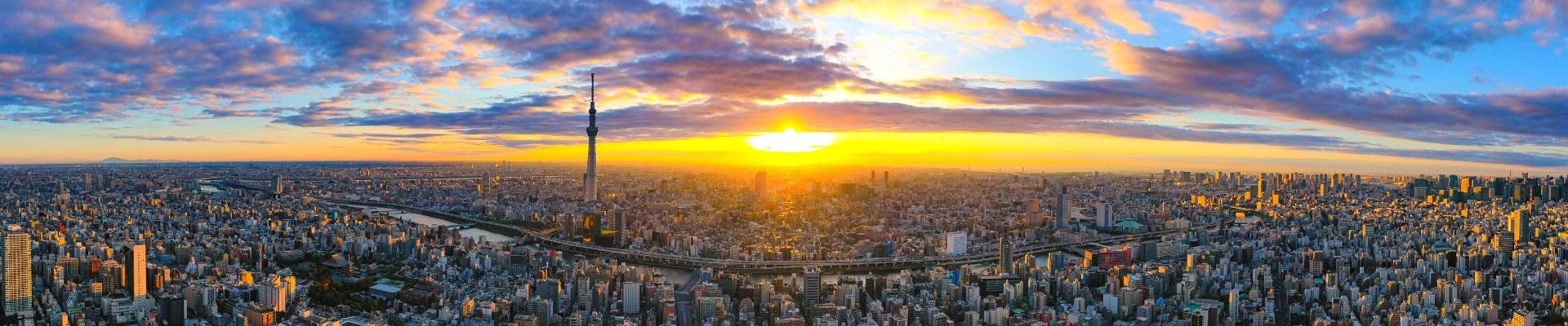 19 Easy Ways Quality Web Design Grows A Successful Business