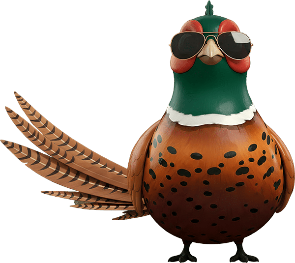 unlimited graphic design subscription service-pheasant-shades
